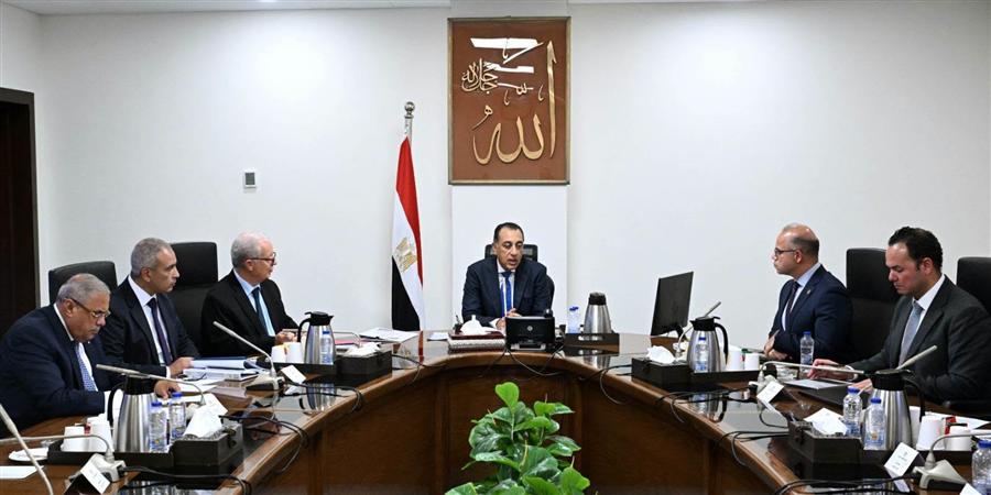 الحكومة تبحث نقل ملكية عدد من شركات قطاع الأعمال وتعظيم أصولها